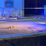 Crimes, accidents et agressions : l'été tragique à Crémone