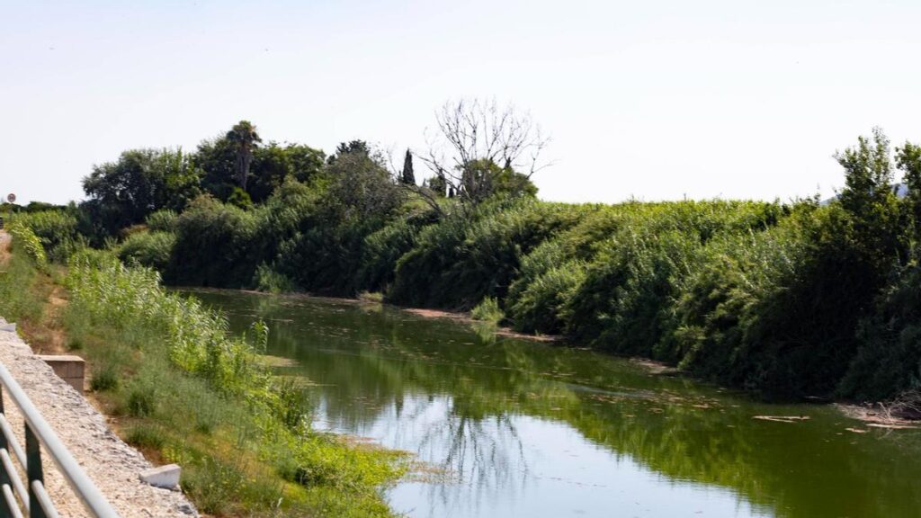Découverte d'un corps de jeune femme près du fleuve Xúquer à Llaurí