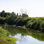 Découverte d'un corps de jeune femme près du fleuve Xúquer à Llaurí
