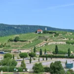 Évaluation d'un séjour court à Bad Dürkheim : Quelle est la place de la ville ?