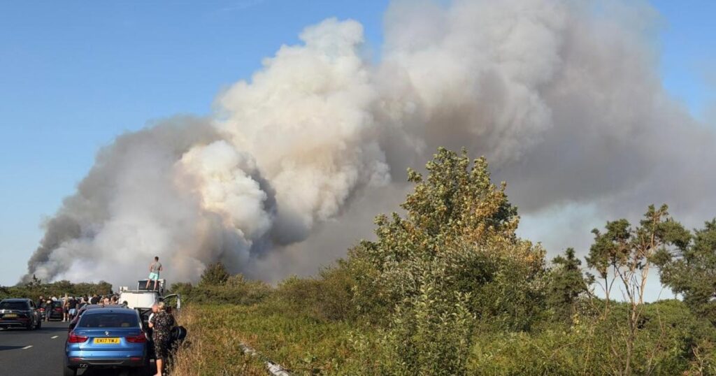 Fermeture de l'A31 : itinéraires de déviation après un incendie