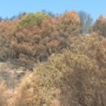 Incendie de la Vall d'Uixó : Situation maîtrisée !