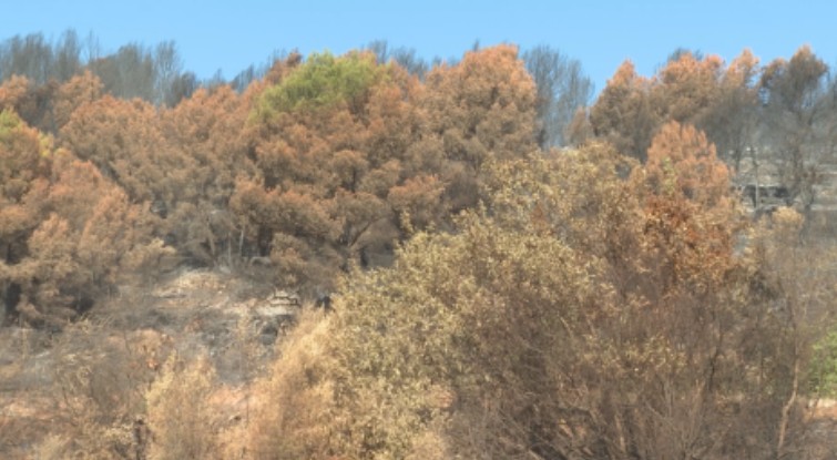 Incendie de la Vall d'Uixó : Situation maîtrisée !