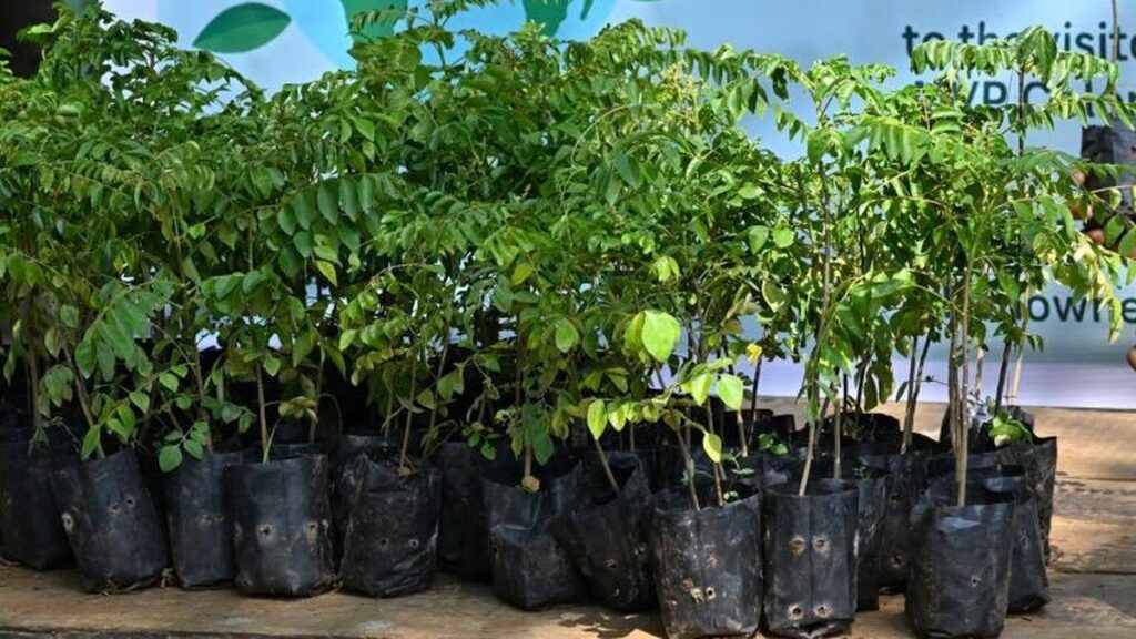 KAU lance un modèle 'Panchakam' pour enrichir la nutrition des foyers grâce aux jardins d'agrément.