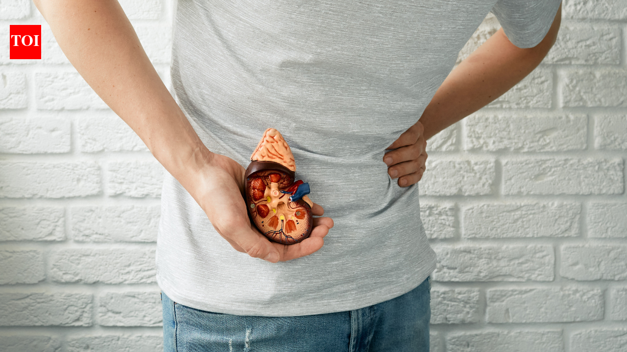 Manger trop de protéines ou pas assez de glucides peut-il stresser vos reins ?