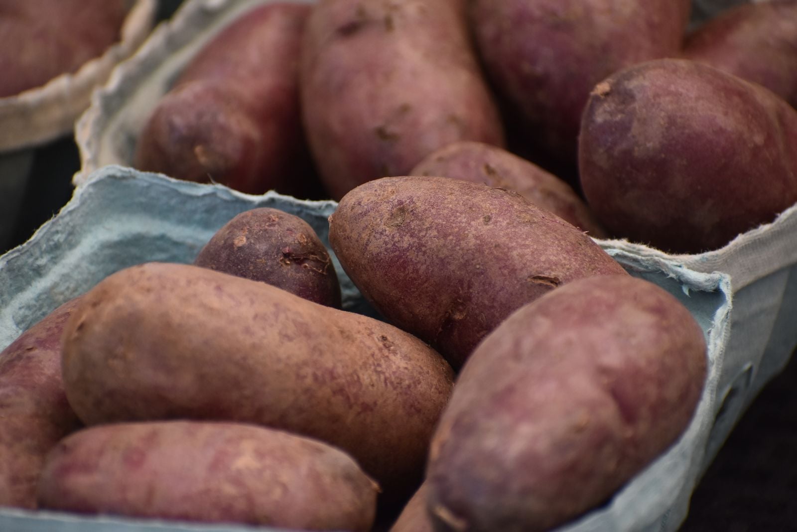 Okinawa : le secret des centenaires et la pomme de terre violette révélée