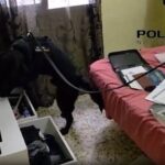 Organisation criminelle démantelée : fin de l’immigration irrégulière entre Espagne et France !
