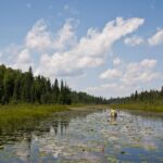 Réaction des législateurs d'Eden Prairie sur l'ordre des Waters Frontières