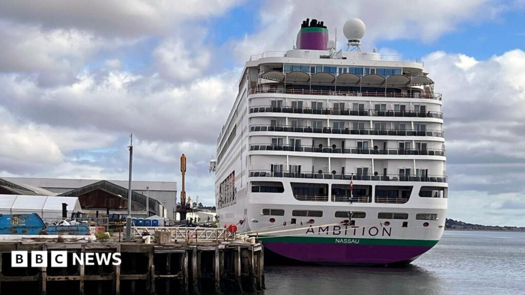 Recherche lancée pour un homme craint tombé par-dessus bord d'une croisière
