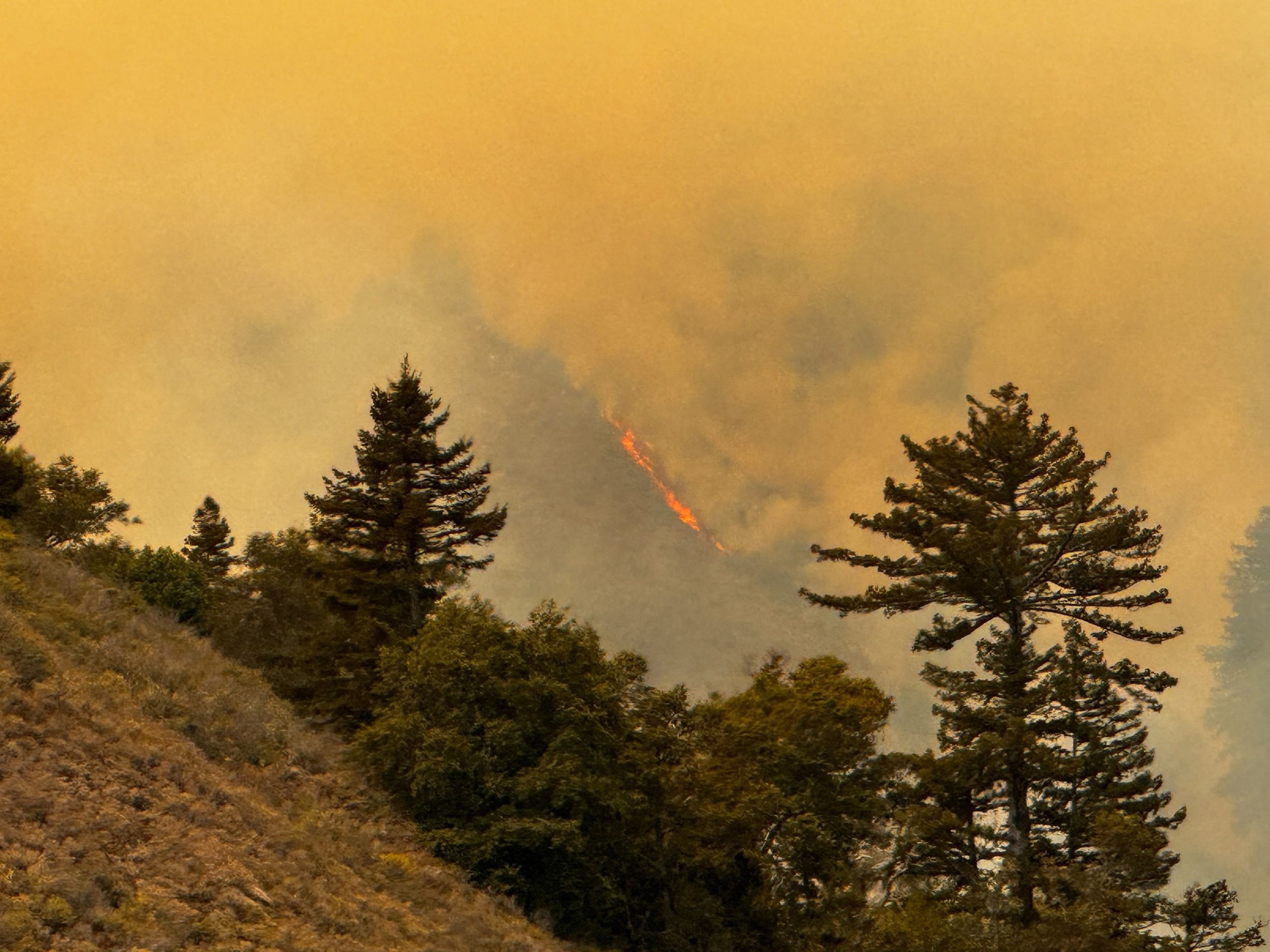 Renfort de pompiers alors que le feu de forêt se maîtrise dans le comté de Monterey
