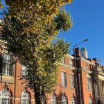 RSH attribue les grades C3 à deux collectivités locales