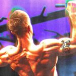 8 Exercices Incontournables pour Renforcer le Haut du Corps