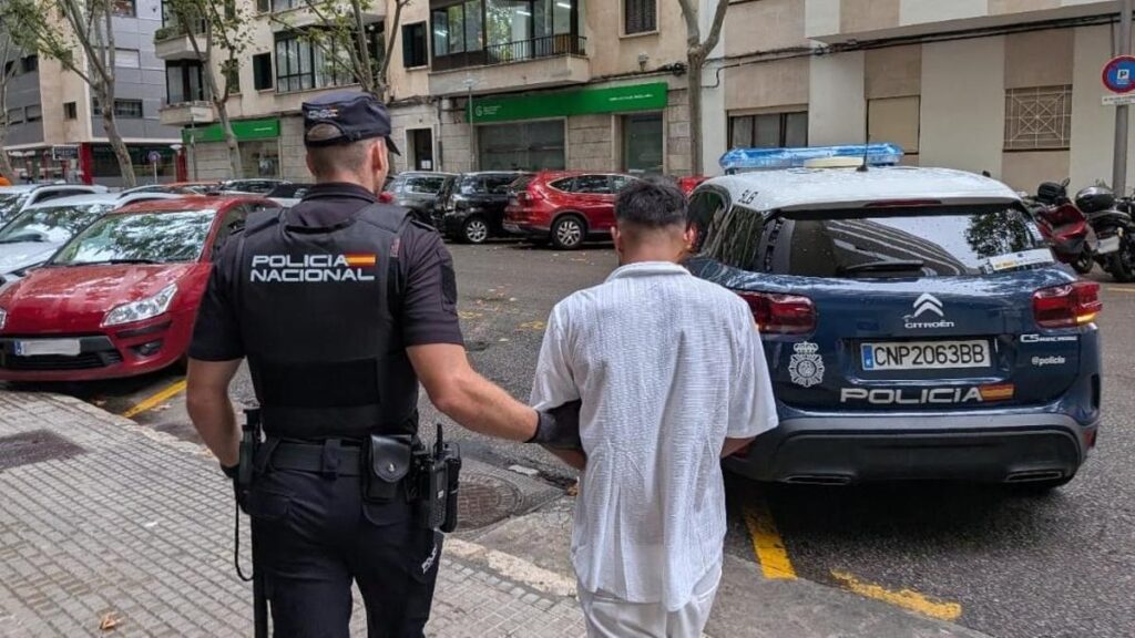 Cinq carteristes arrêtés pour vols aux personnes âgées à Palma et Andratx