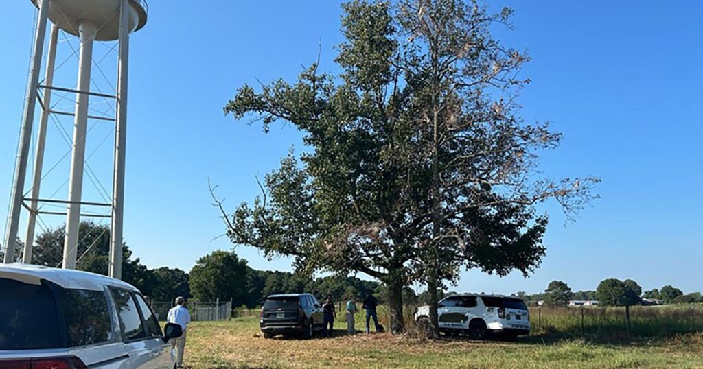 Crash d'avion léger en Alabama : un drame à DeKalb County