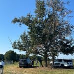 Crash d'avion léger en Alabama : un drame à DeKalb County
