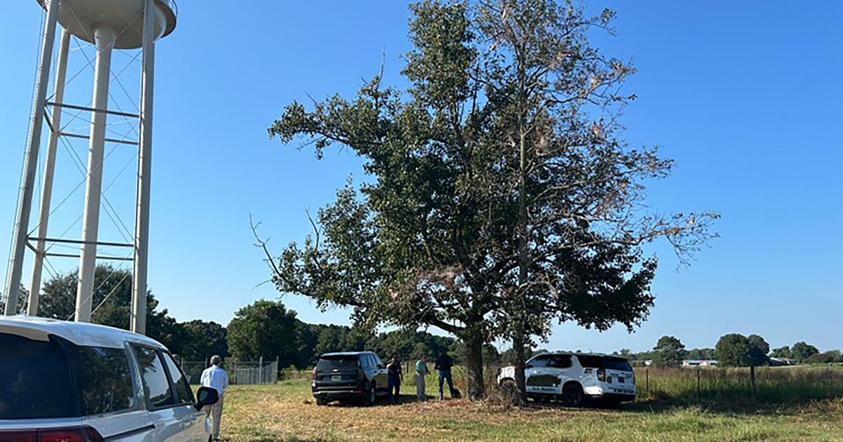 Crash d'avion léger en Alabama : un drame à DeKalb County