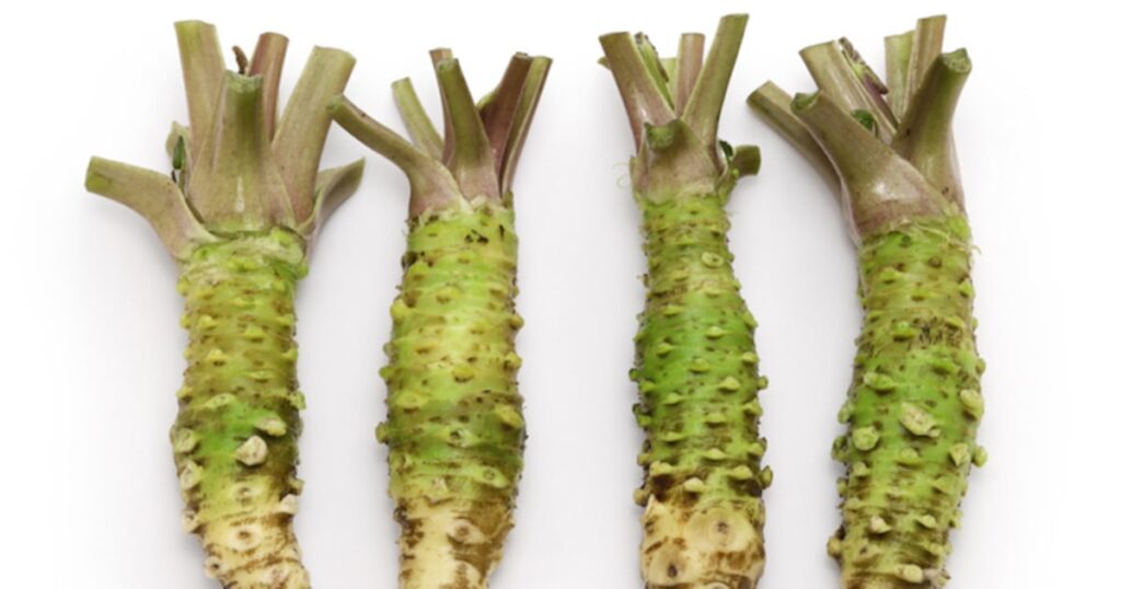 Découverte du potentiel du hexaraphane pour la santé cérébrale avec Dr. Wasabi