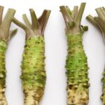 Découverte du potentiel du hexaraphane pour la santé cérébrale avec Dr. Wasabi