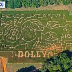 Hommage à Dolly Parton à Ocoee Valley Farms