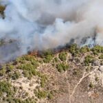 Incendie dans les pins de Carcastillo : six avions mobilisés