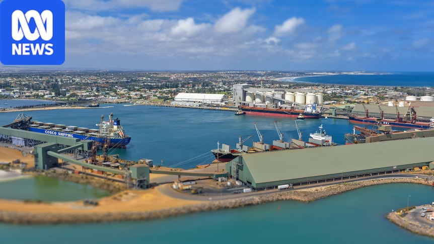 Infos locales : Goldfields, Esperance, Midwest et Wheatbelt – Breve du 11 septembre