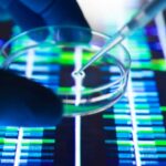 Mise à jour sur les avancées des suppléments pour la santé et la longévité