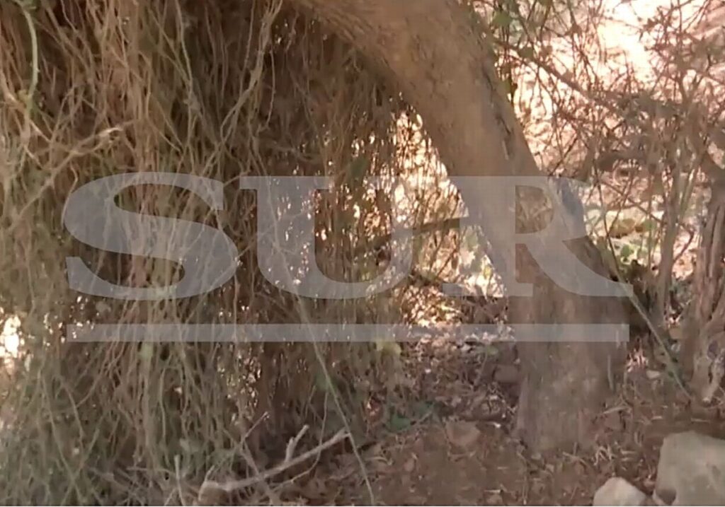 Secours de l'amour : un homme arrêté pour avoir séquestré sa petite amie et l'avoir laissée attachée à un arbre