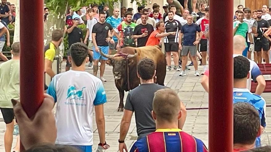Tragédie à Nafarroa : Une jeune femme de Bilbao perd la vie, percutée par un toro