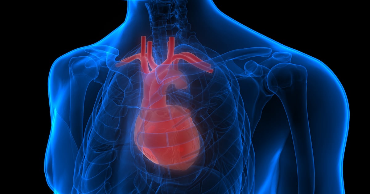 Vitamine K2 de Balchem : 21 % de ralentissement de la progression du CAC