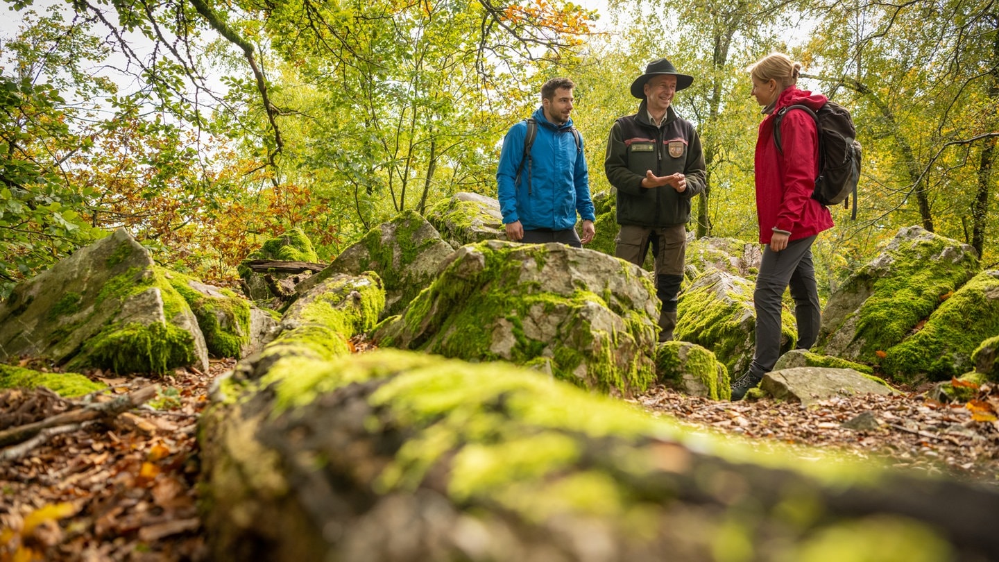 Visite guidée au parc national Hunsrück-Hochwald.