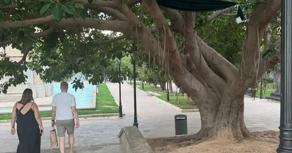 Choc à Sa Feixina : un homme chute d'une hamac à trois mètres de hauteur