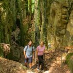 Évasion automnale à Trèves : 7 idées d'excursions en pleine nature