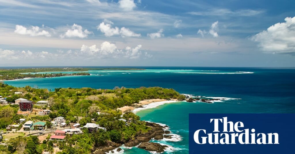 Expansion touristique et nids de tortues : le conflit qui divise les communautés à Tobago