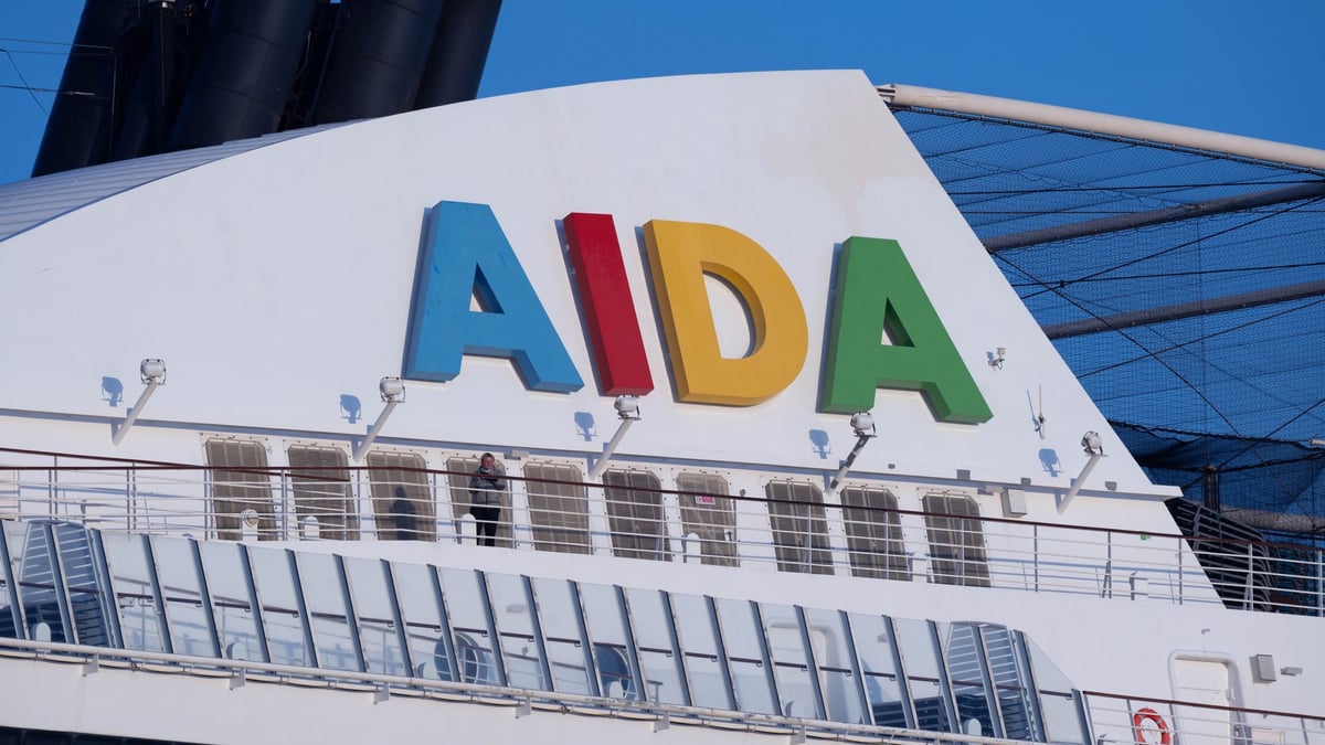 Nouveautés à découvrir pour les vacanciers à bord !